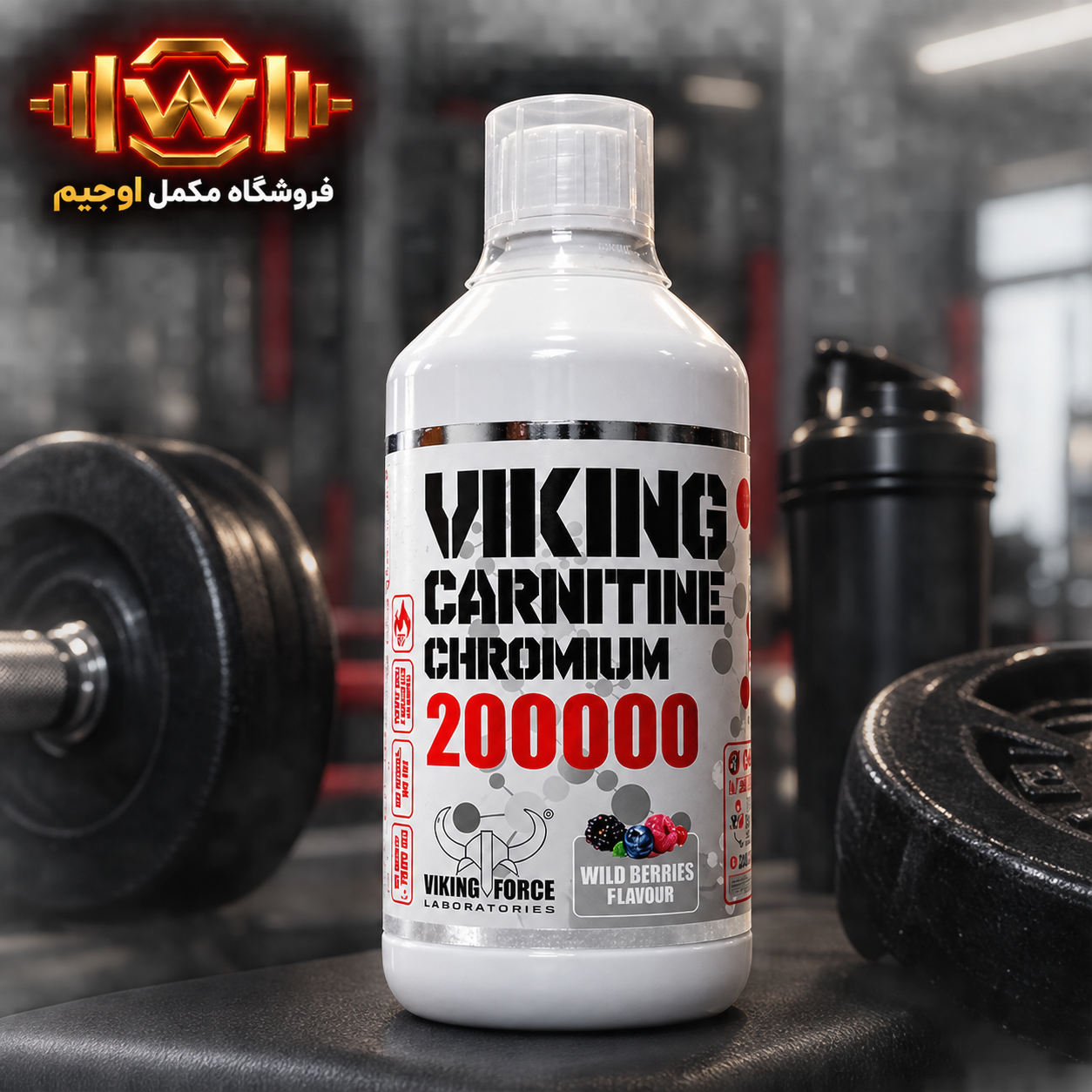 کارنیتین کرومیوم وایکینگ 20000