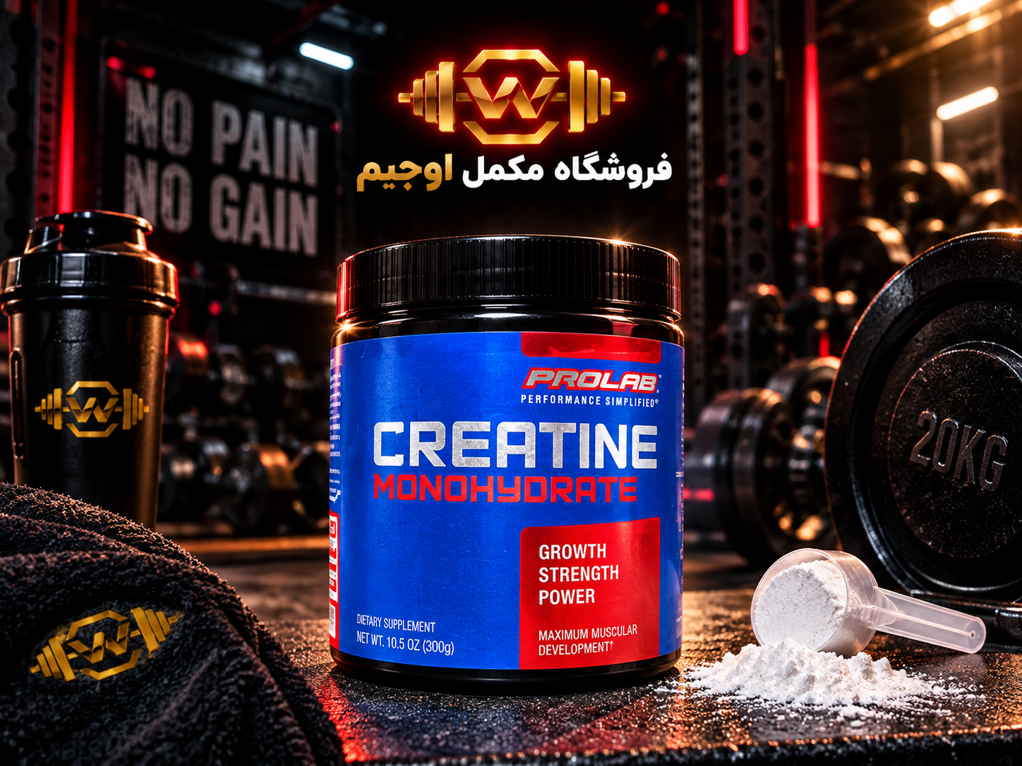 کراتین مونوهیدرات پرولب
