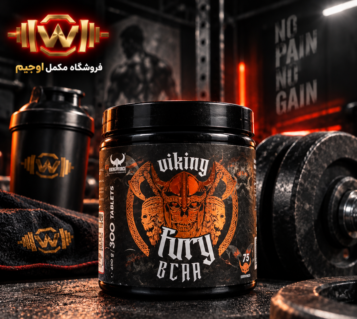 بی سی ای ای وایکینگ فیوری